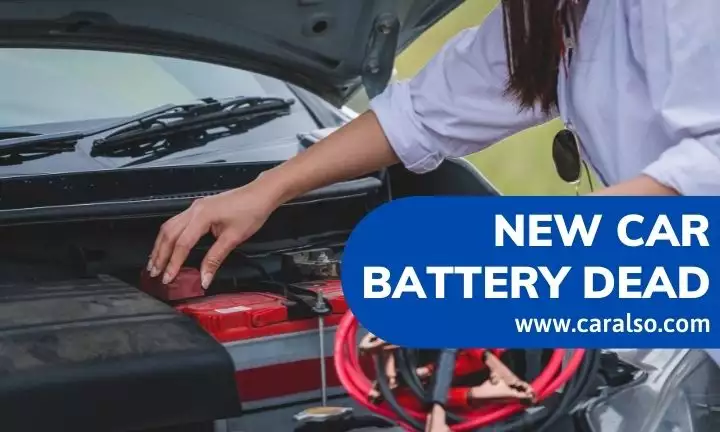 new car battery dead