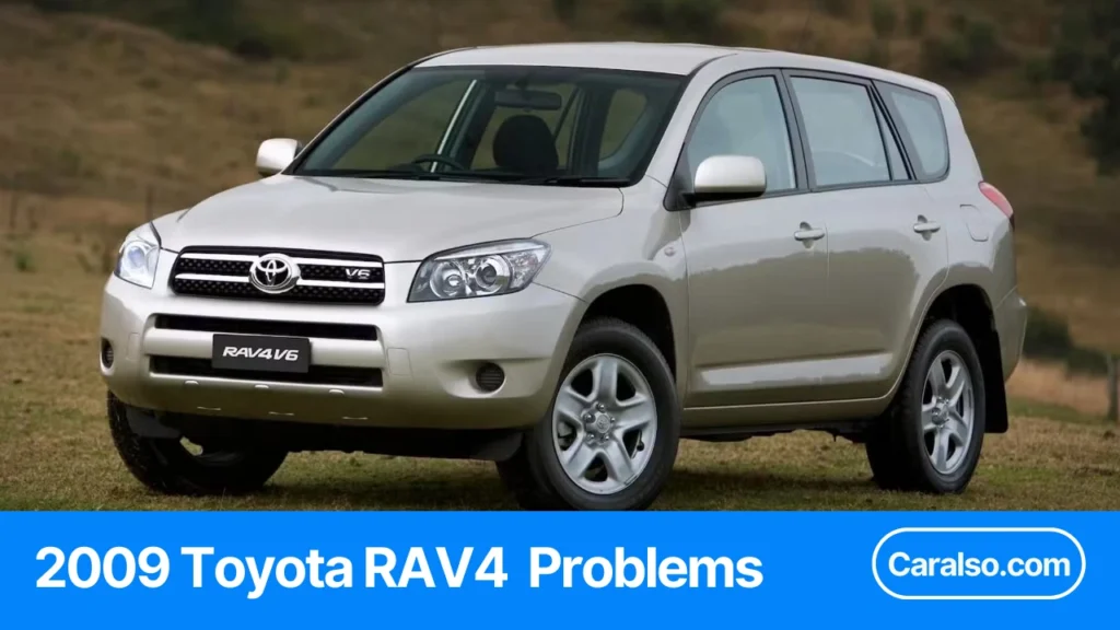 Summary table showing the most common 2009 Toyota RAV4 problems and the recall items to check before buying used.