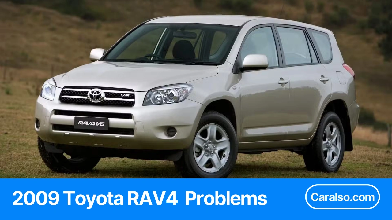 Summary table showing the most common 2009 Toyota RAV4 problems and the recall items to check before buying used.